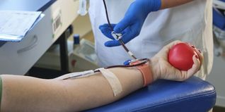DRK-Blutspendedienst Baden-Württemberg–Hessen.
